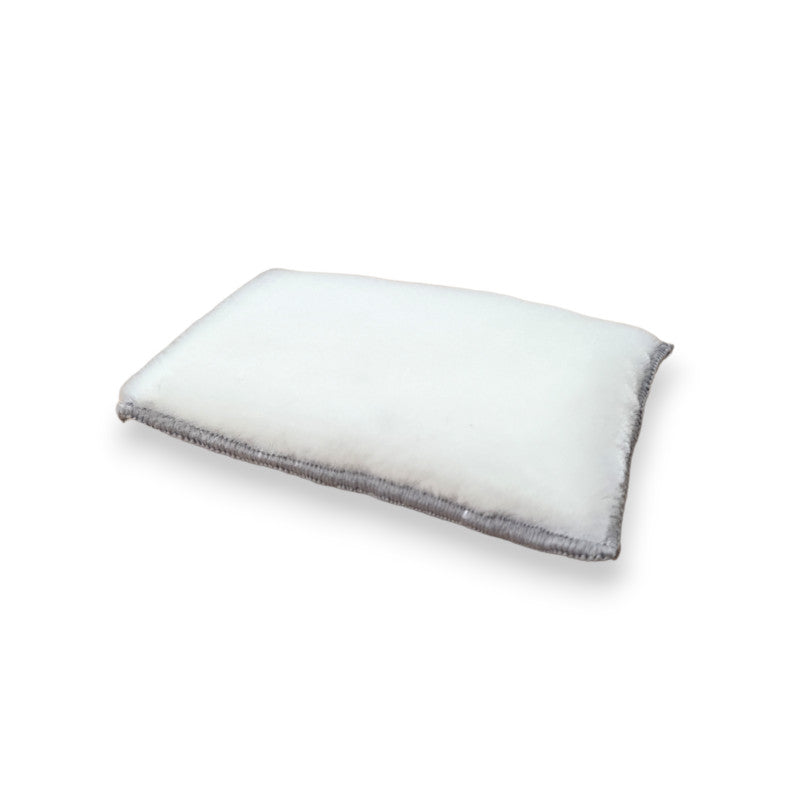 ESPONJA LIMPIEZA INTERIOR CCP