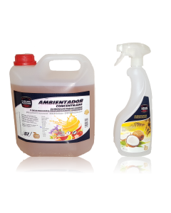 AMBIENTADOR CONCENTRADO 5L OLOR ONE MILLION